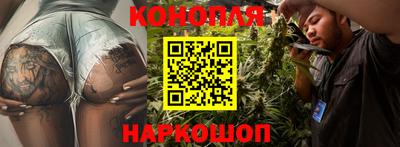 шишки Балаково